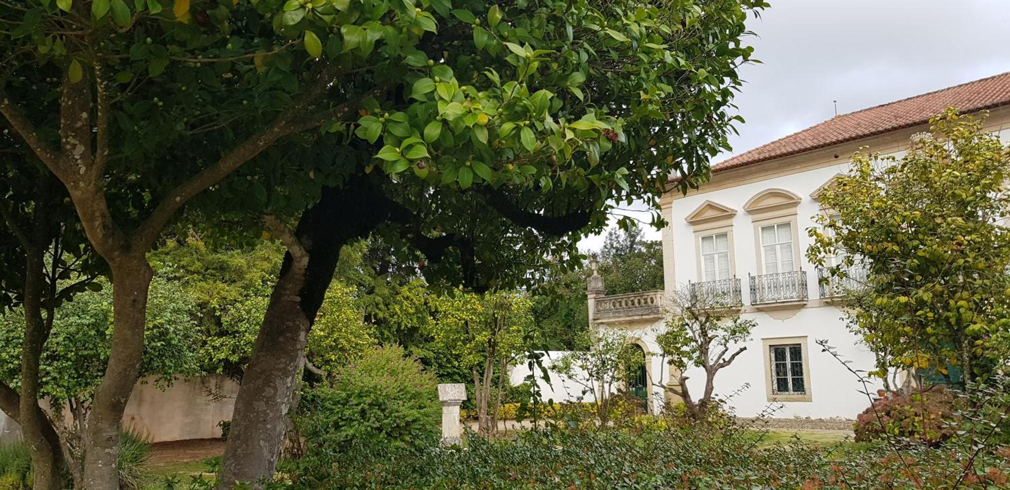 Palacio Da Portela III Coimbra Zewnętrze zdjęcie